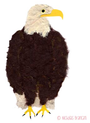 Nicholas Brancati illustration of a bald eagle done in mixed media collage